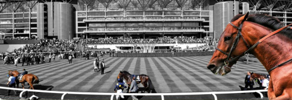 Horse Racing Horse Racing